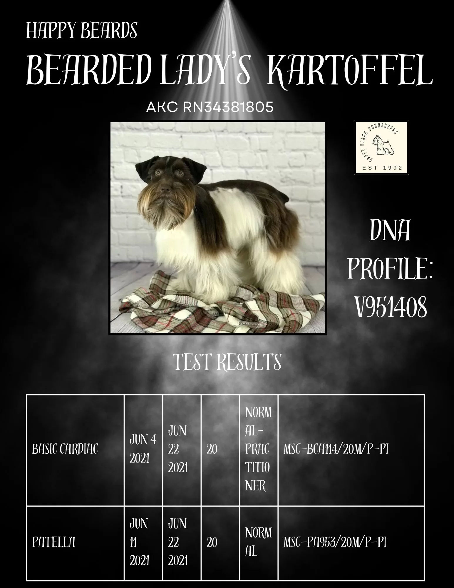 Sire Parti Miniature Schnauzer Sire Parti Miniature Schnauzer