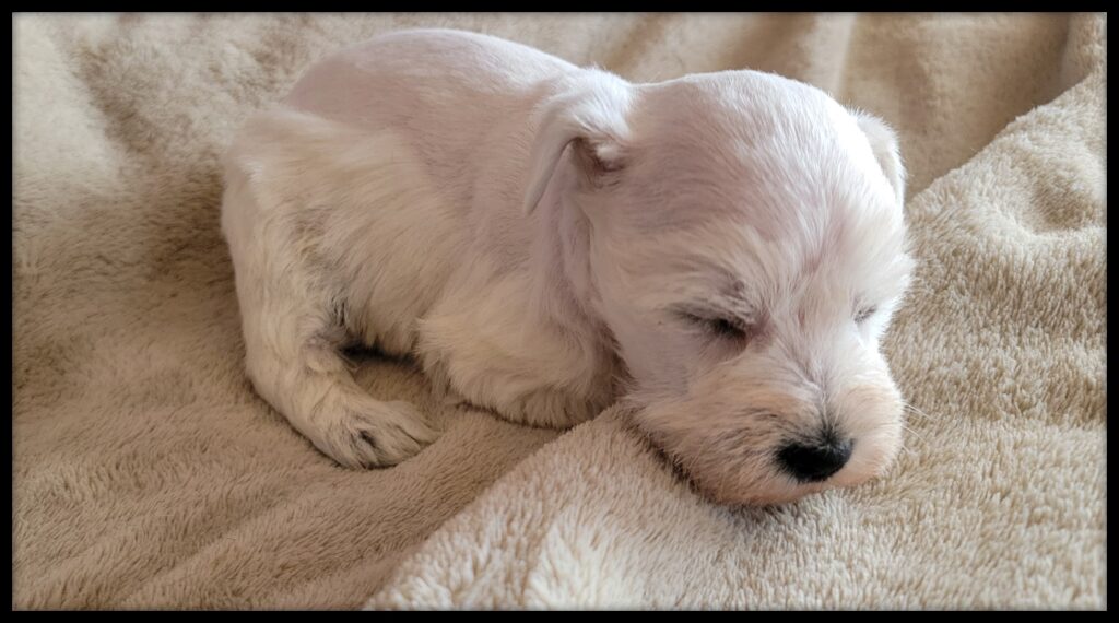 2026-02-19-08-54-53-590