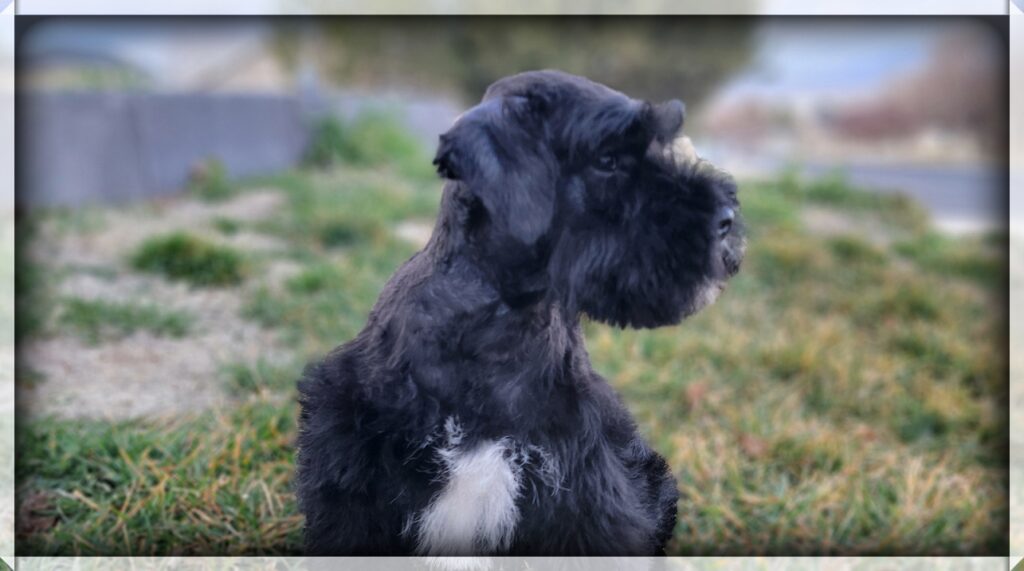 2026-03-02-11-30-45-780