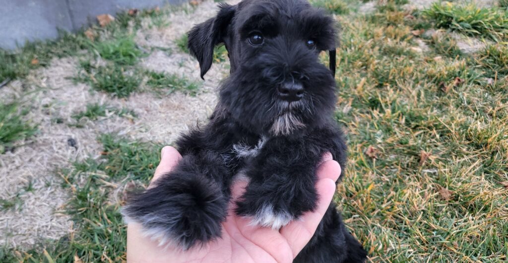 2026-03-02-11-34-36-717