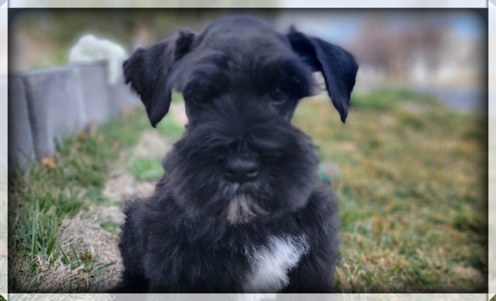 2026-03-02-11-38-26-508