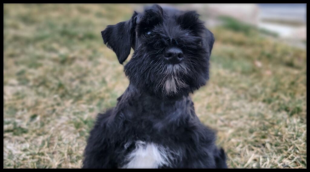 2026-03-02-11-41-17-828