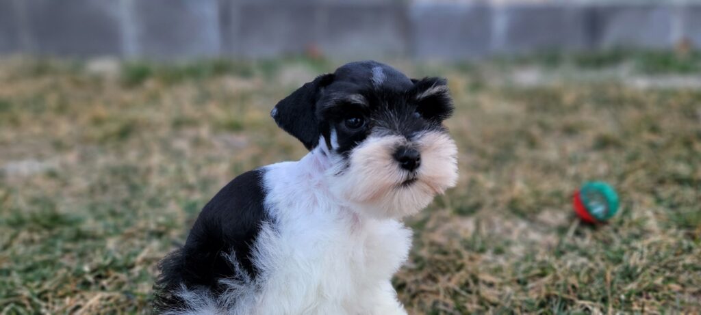 2026-03-02-12-48-57-104