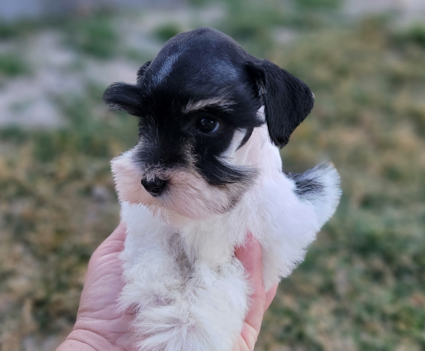 2026-03-02-12-52-07-296