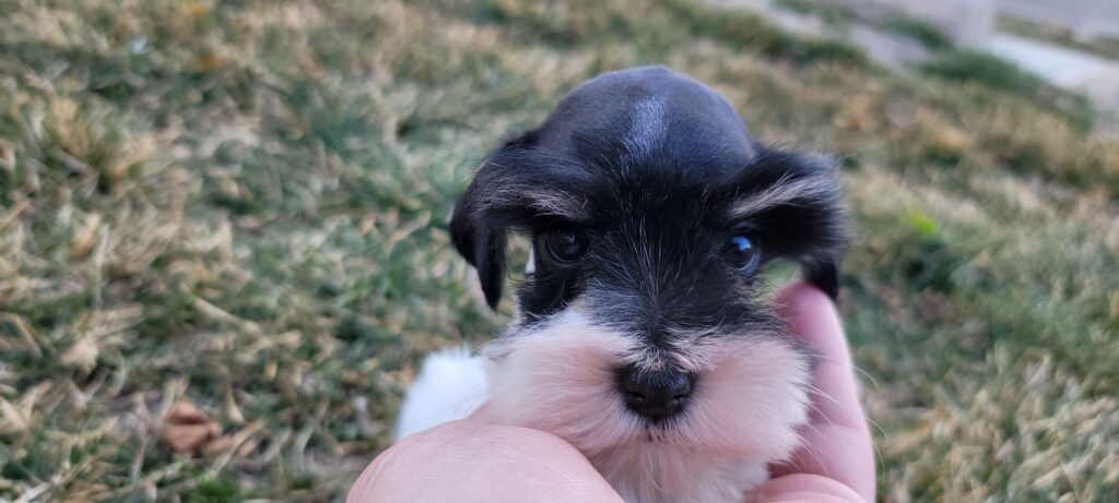 2026-03-02-12-52-22-534