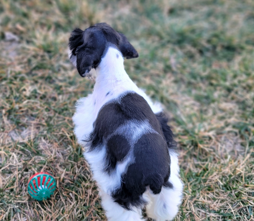 2026-03-02-12-52-49-942