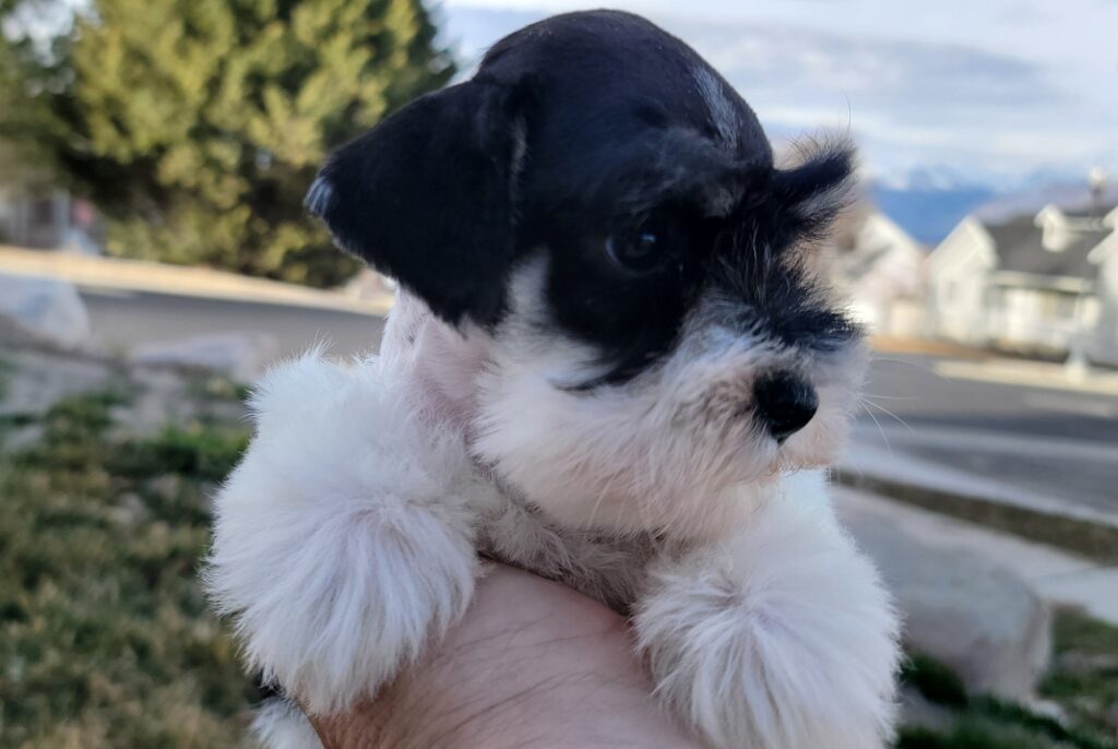 2026-03-02-12-53-26-374