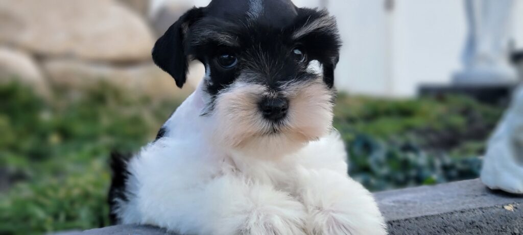 2026-03-02-12-54-10-334