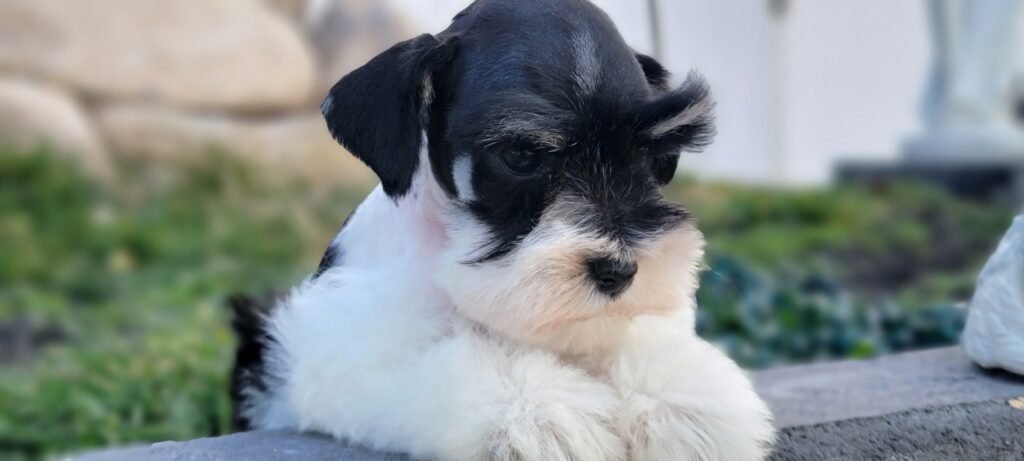 2026-03-02-12-54-24-082